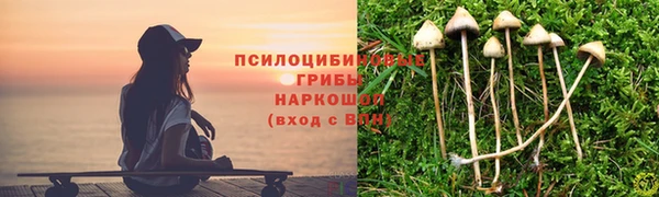 гашиш Аркадак