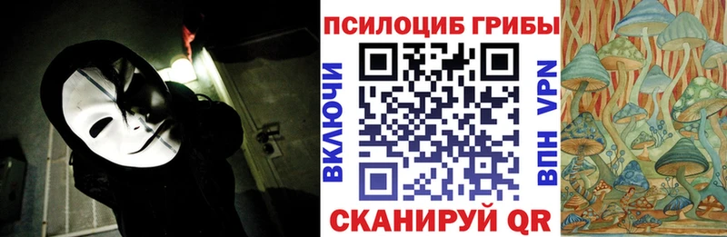 mega   маркетплейс клад  Сасово  Псилоцибиновые грибы Cubensis  закладки 