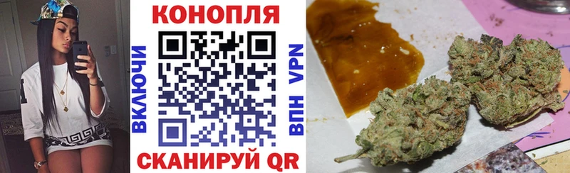 где найти   Сасово  Канабис OG Kush 